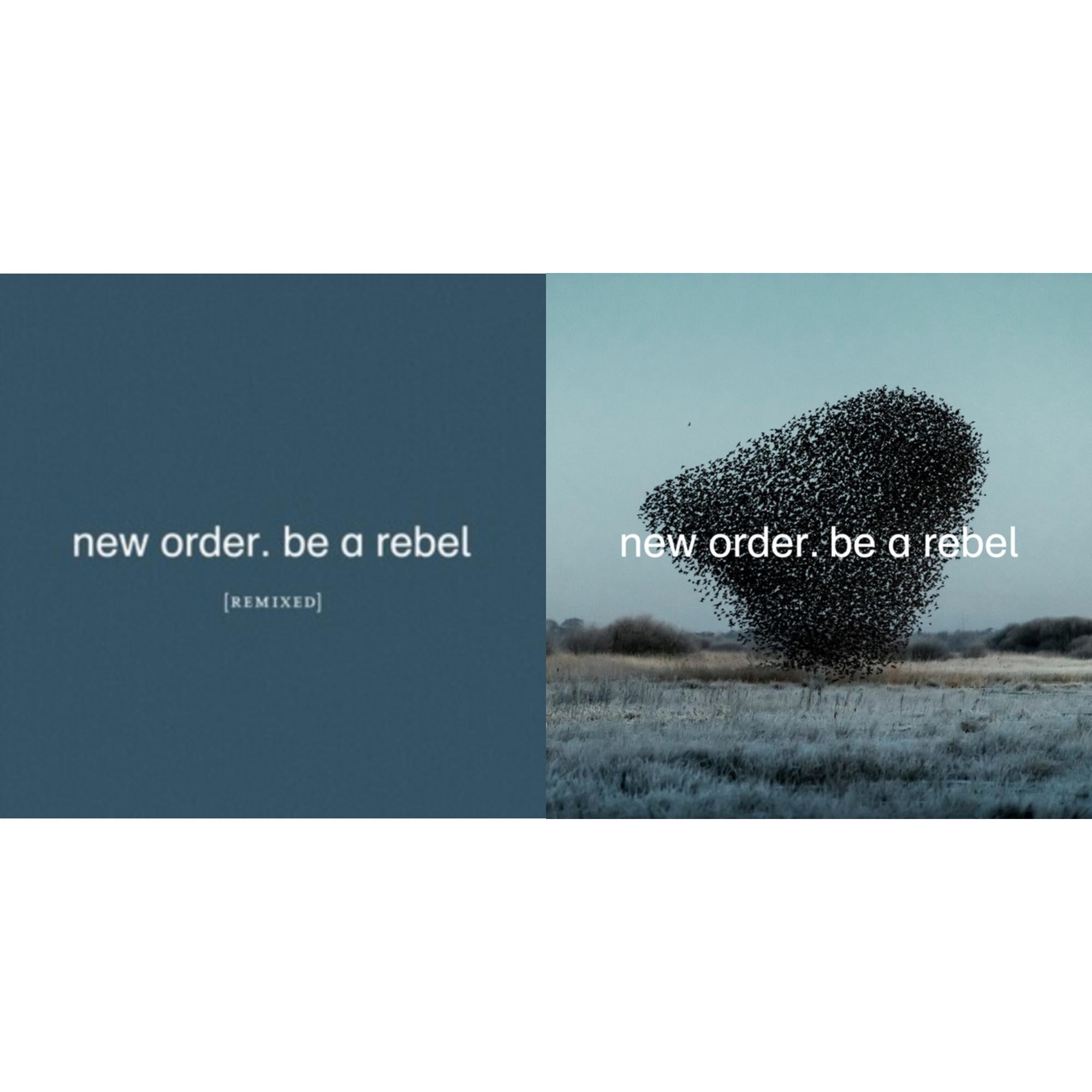 New Order - Be A Rebel Remixed (Limited Edition/Clear LP Vinyl) & Be A Rebel