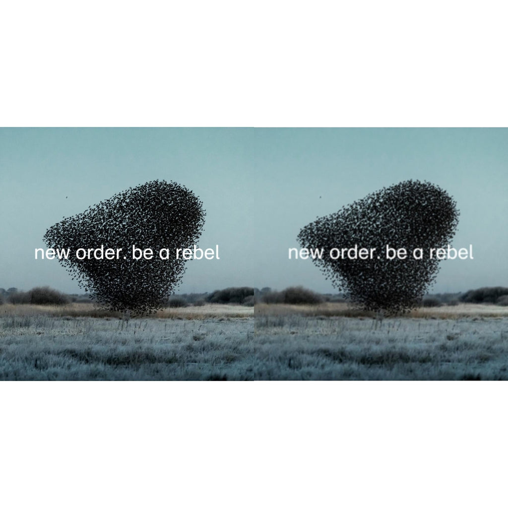 New Order - Be A Rebel Ep & Be A Rebel - LP Vinyl Bundle