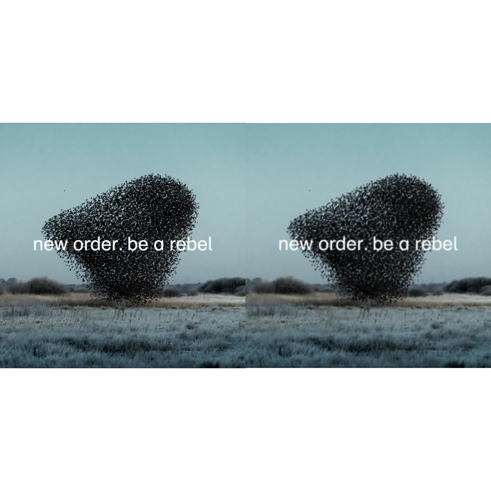 New Order - Be A Rebel Ep & Be A Rebel - LP Vinyl Bundle