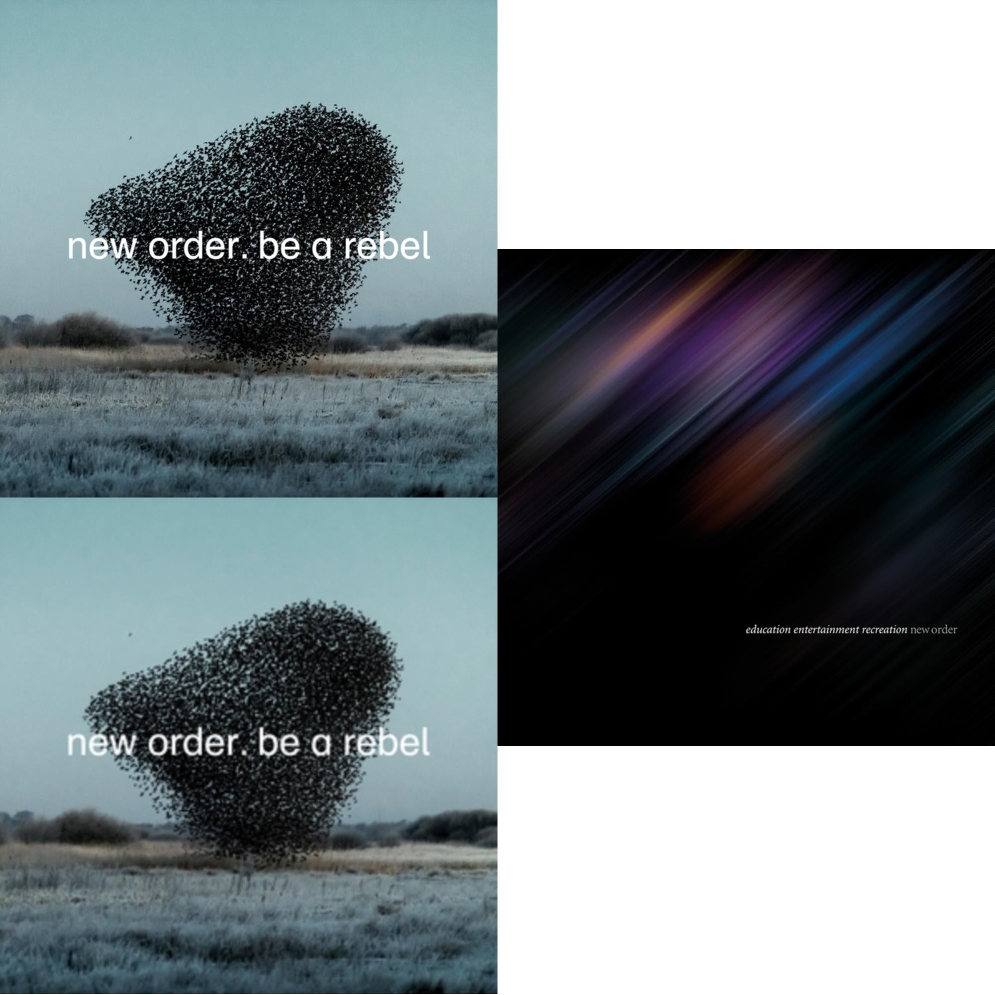 New Order - Be A Rebel & Be A Rebel Ep & Education Entertainment Recreation (Live) - LP Vinyl Bundle