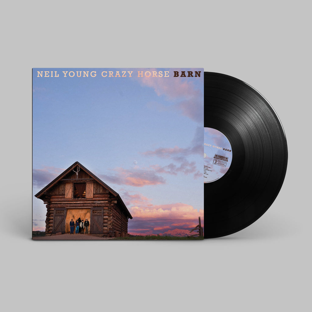 Barn Vinyl Record