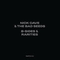 B-Sides & Rarities (Part I & II) Vinyl Record
