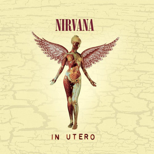 Nirvana – In Utero: 20th Anniversary Music CD