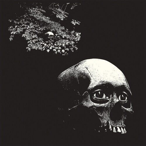 A Foul Form (Vinyl) Vinyl Record