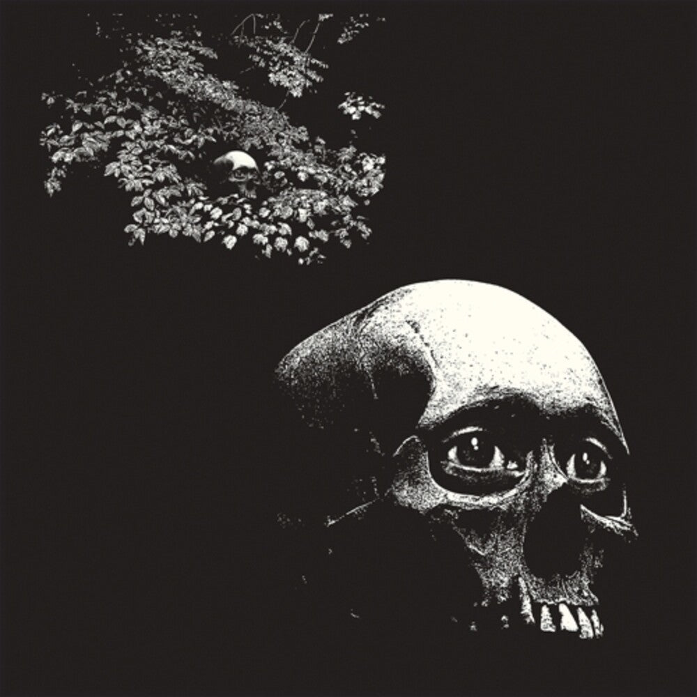Osees – Foul Form (LP Vinyl) Vinyl Record