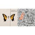 Paramore - Brand New Eyes & Riot - CD Bundle