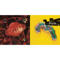 Bossanova & Wave Of Mutilation: Best Of Pixies