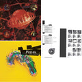 Bossanova & Wave Of Mutilation: Best Of Pixies & Doolittle 25: B-Sides, Peel Sessions And Demos