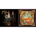 Panic! At The Disco - Vices & Virtues & Pretty Odd - LP Vinyl Bundle