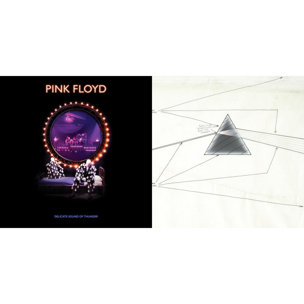 Delicate Sound Of Thunder (3LP) & Dark Side Of The Moon Live At Wembley Empire Pool 1974