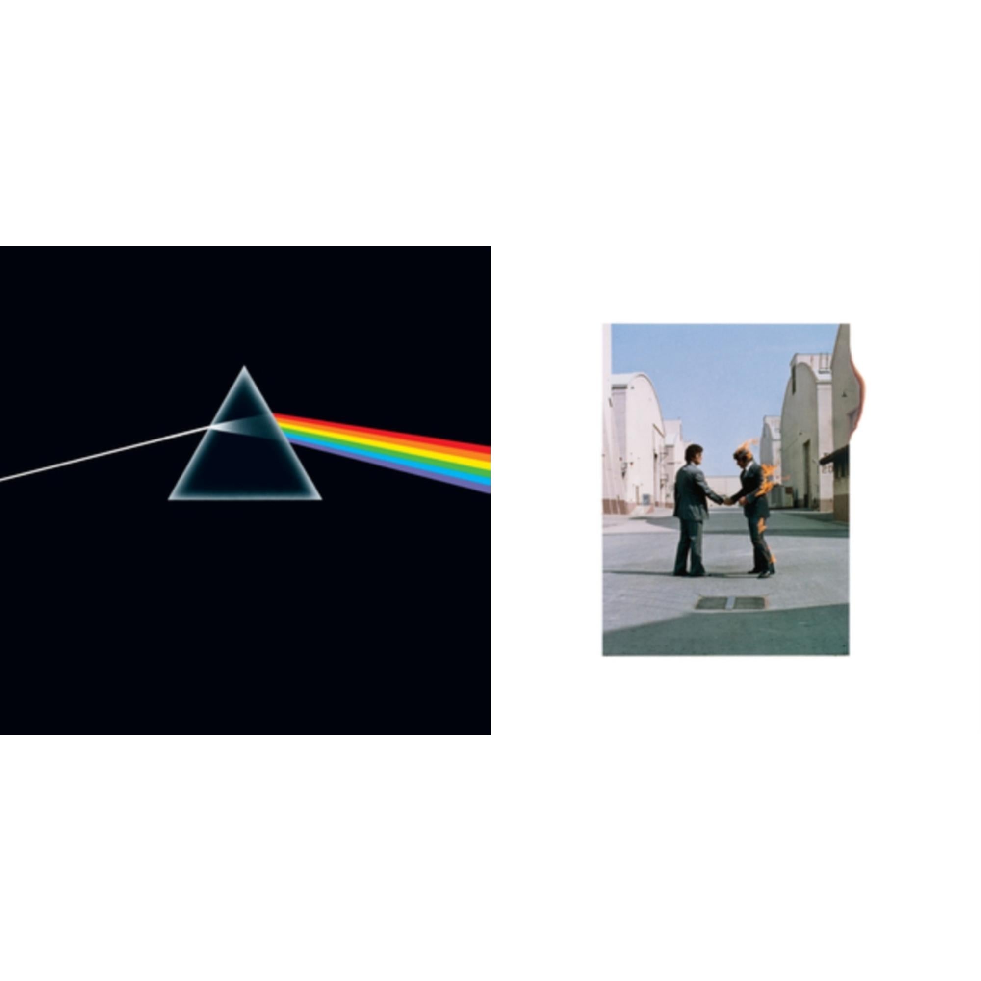 Dark Side Of The Moon (50Th Anniversary Remaster) & Wish You Were Here (180G)