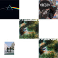 Saucerful Of Secrets (Mono/180G) & Dark Side Of The Moon (50Th Anniversary Remaster) & Saucerful Of Secrets (180G) & Wish You Were Here (180G) & Best Of Pink Floyd: A Foot In Door (2LP/180G Vinyl)