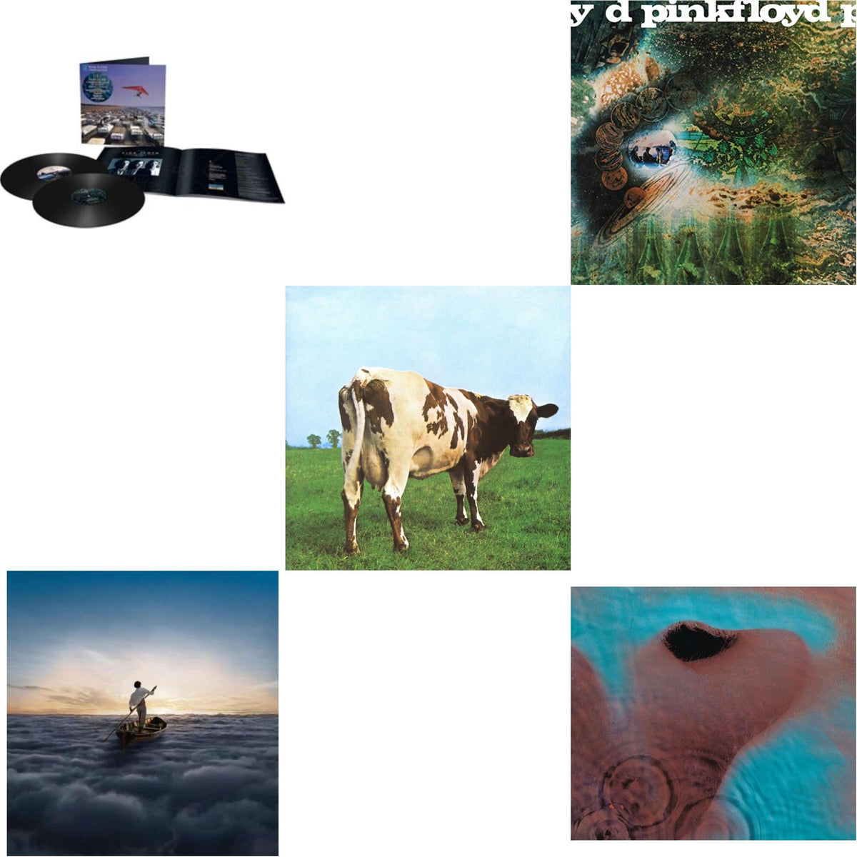 Momentary Lapse Of Reason (Remixed & Updated) (2LP) & Endless River (2LP/180G) & Saucerful Of Secrets (180G) & Atom Heart Mother (180G/Gatefold/2016 Version) & Meddle (180G/Gatefold/2016 Version)