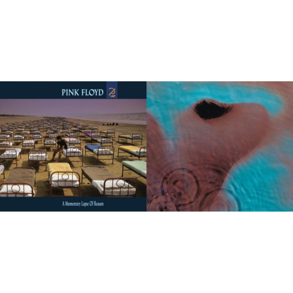 Meddle (180G/Gatefold/2016 Version) & Momentary Lapse Of Reason (180G/Gatefold) (2016 Version)