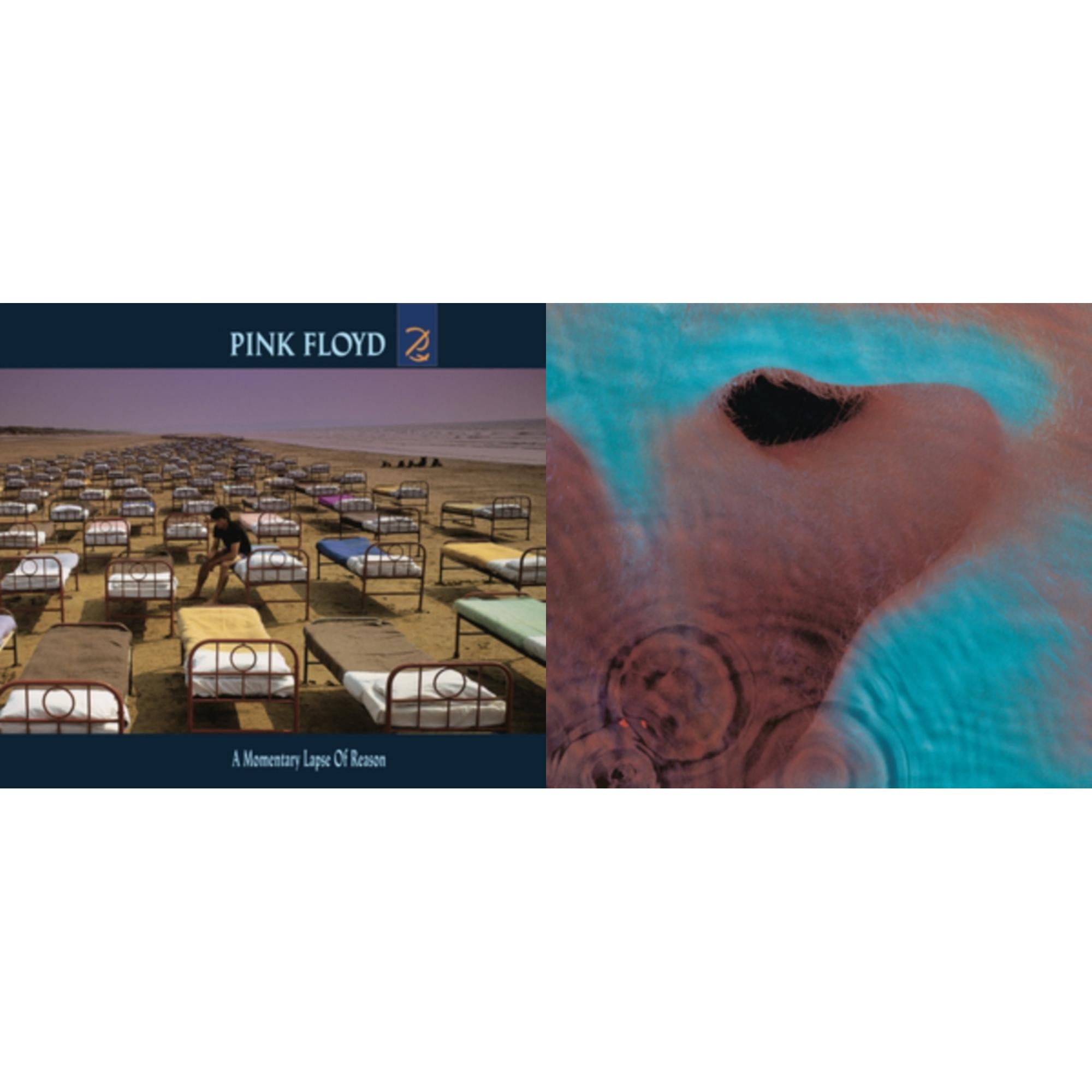 Meddle (180G/Gatefold/2016 Version) & Momentary Lapse Of Reason (180G/Gatefold) (2016 Version)
