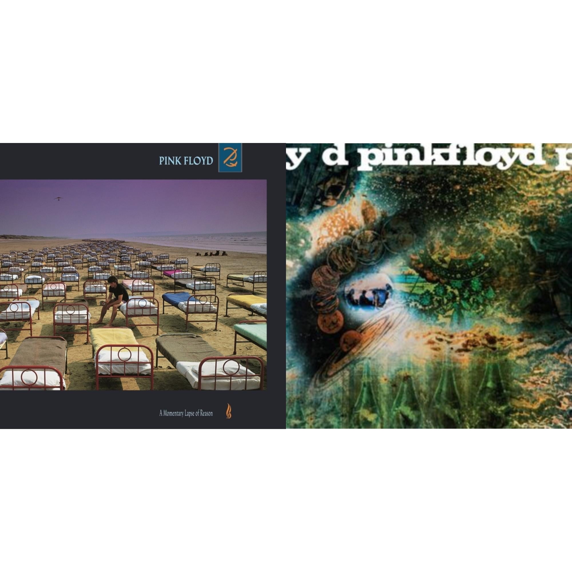 Saucerful Of Secrets (Mono/180G) & Momentary Lapse Of Reason (180G/Gatefold) (2016 Version)