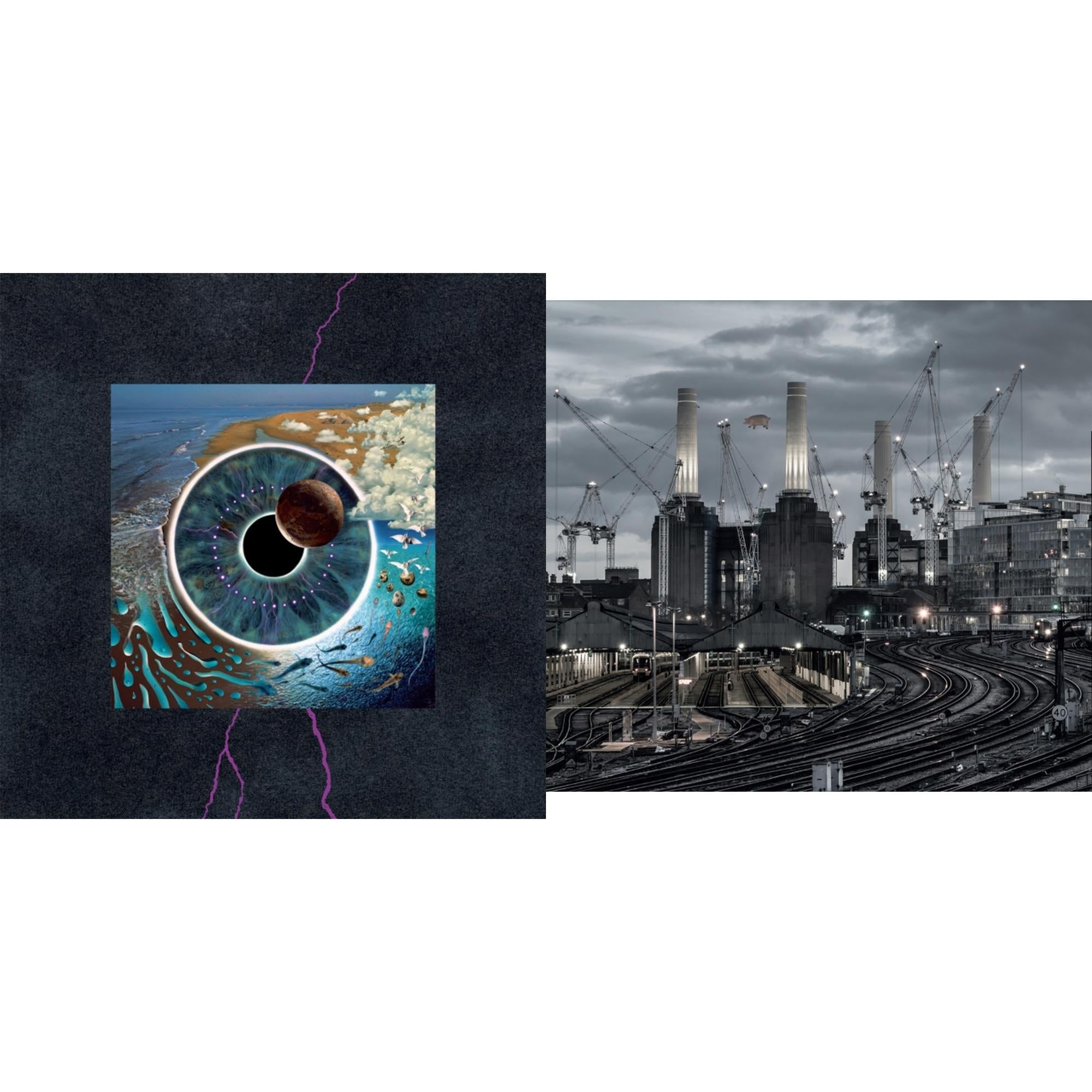 Animals (2018 Remix) (180G/LP/CD/Blu-Ray/DVD) & Pulse (180G/4LP/52 Pp Book)