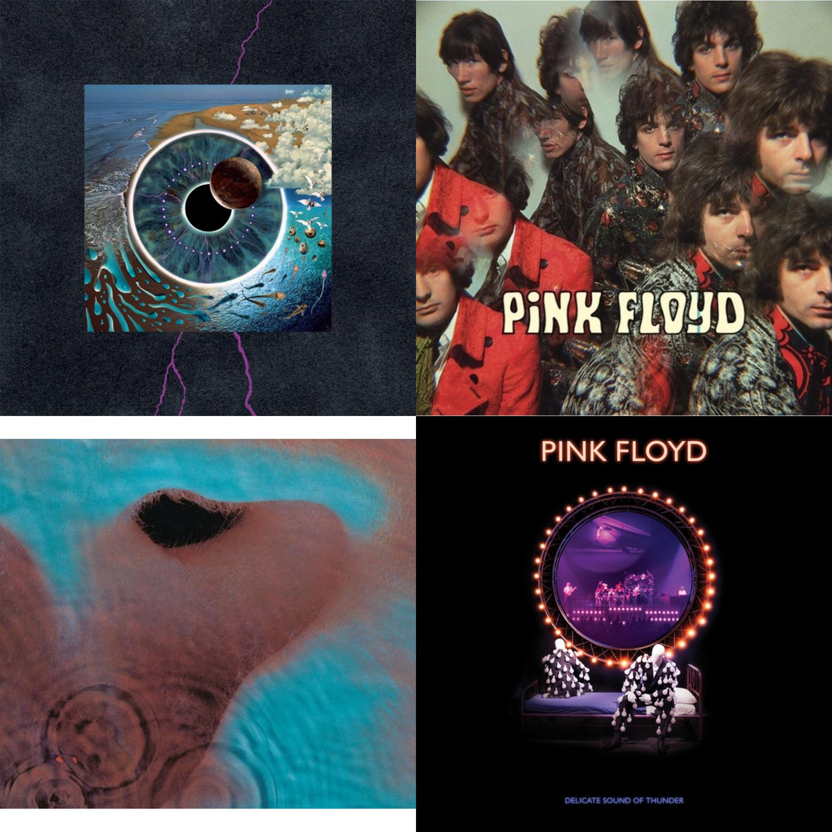 Delicate Sound Of Thunder (3LP) & Piper At The Gates Of Dawn (Mono Version) & Meddle (180G/Gatefold/2016 Version) & Pulse (180G/4LP/52 Pp Book)