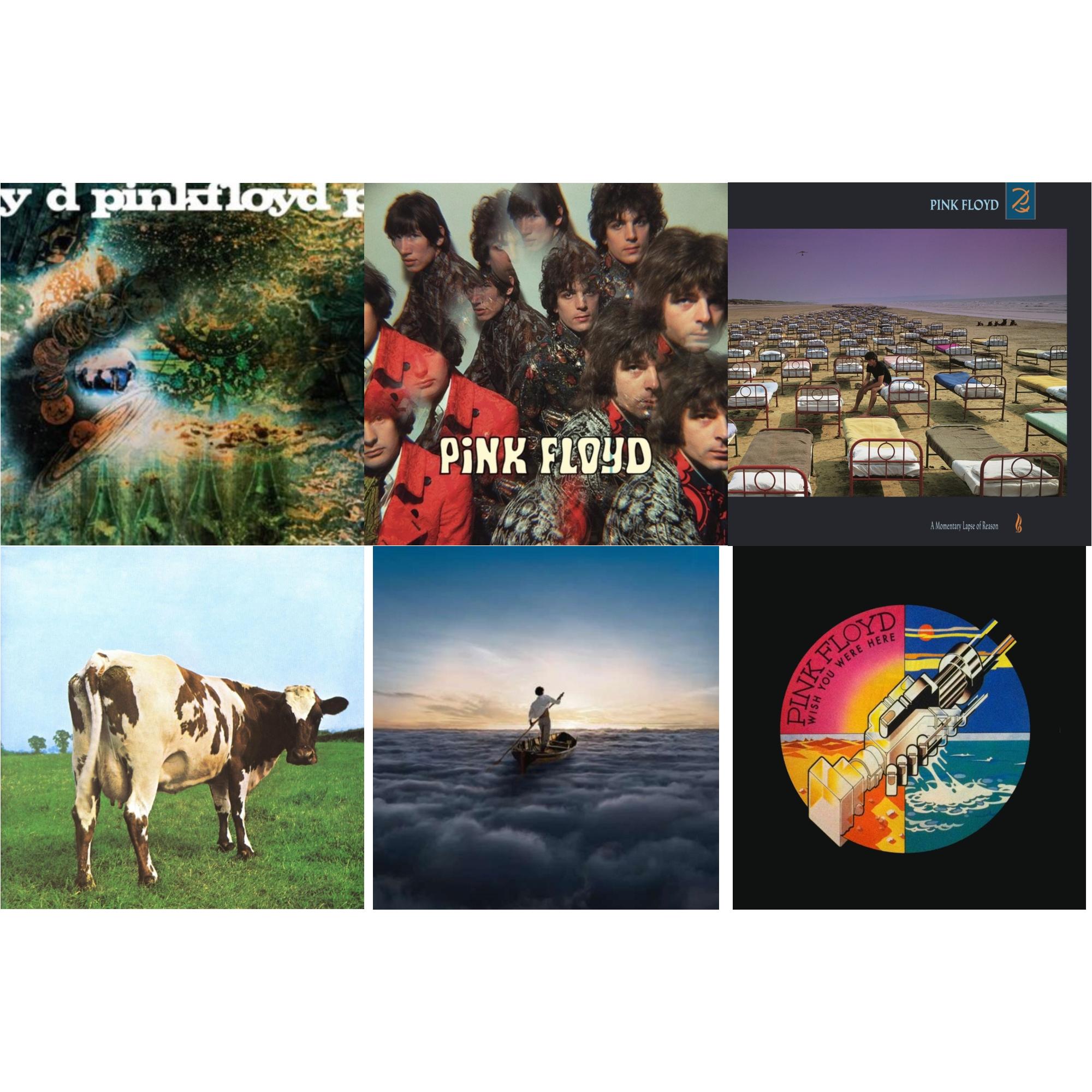 Piper At The Gates Of Dawn (Mono Version) & Saucerful Of Secrets (Mono/180G) & Endless River (2LP/180G) & Atom Heart Mother (180G/Gatefold/2016 Version) & Wish You Were Here (180G) & Momentary Lapse Of Reason (180G/Gatefold) (2016 Version)