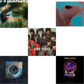 Delicate Sound Of Thunder (3LP) & Piper At The Gates Of Dawn (Mono Version) & Saucerful Of Secrets (Mono/180G) & Meddle (180G/Gatefold/2016 Version) & Pulse (180G/4LP/52 Pp Book)
