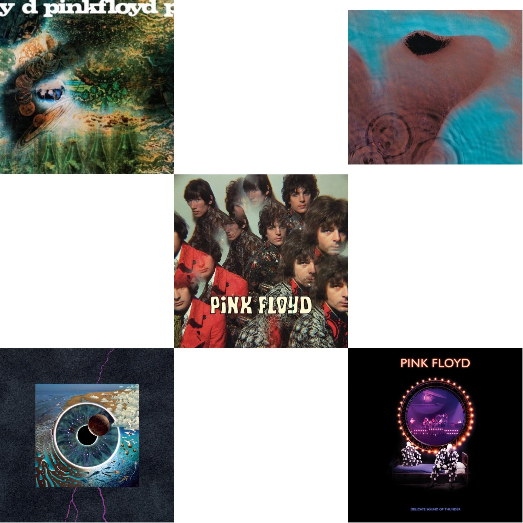 Delicate Sound Of Thunder (3LP) & Piper At The Gates Of Dawn (Mono Version) & Saucerful Of Secrets (Mono/180G) & Meddle (180G/Gatefold/2016 Version) & Pulse (180G/4LP/52 Pp Book)