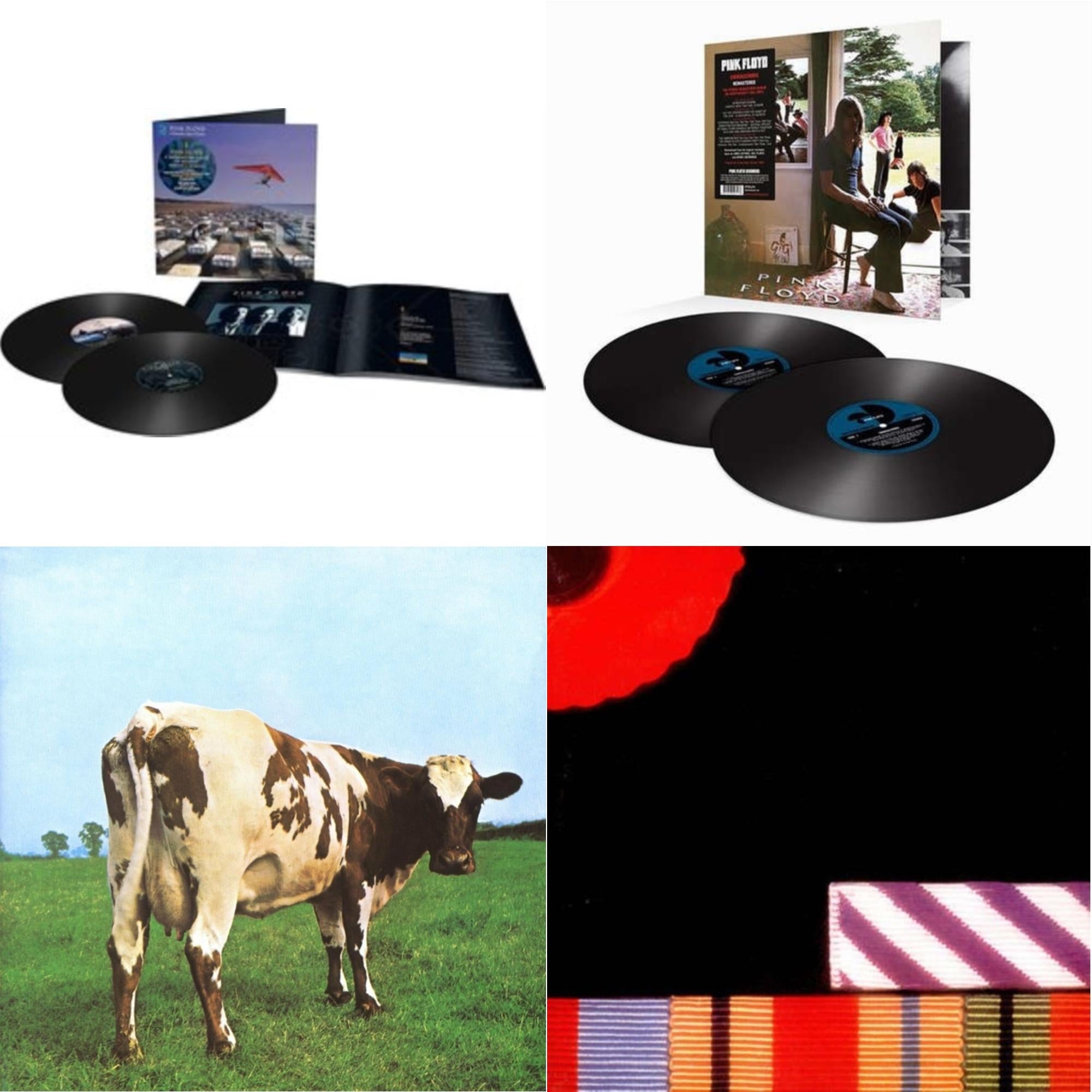 Momentary Lapse Of Reason (Remixed & Updated) (2LP) & Ummagumma (2LP/180G/2016 Version/Gatefold) & Atom Heart Mother (180G/Gatefold/2016 Version) & Final Cut (180G/Gatefold) (2016 Version)