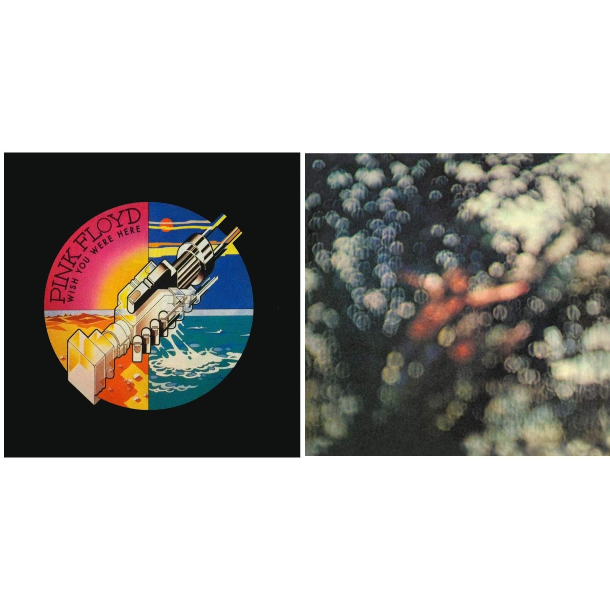 Wish You Were Here (Limited) & Obscured By Clouds (180G/2016 Version)