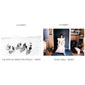 Pj Harvey - White Chalk (Demos) & Hope Six Demolition Project - Demos - LP Vinyl Bundle