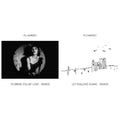 Pj Harvey - Let England Shake - Demos & To Bring You My Love - Demos - LP Vinyl Bundle