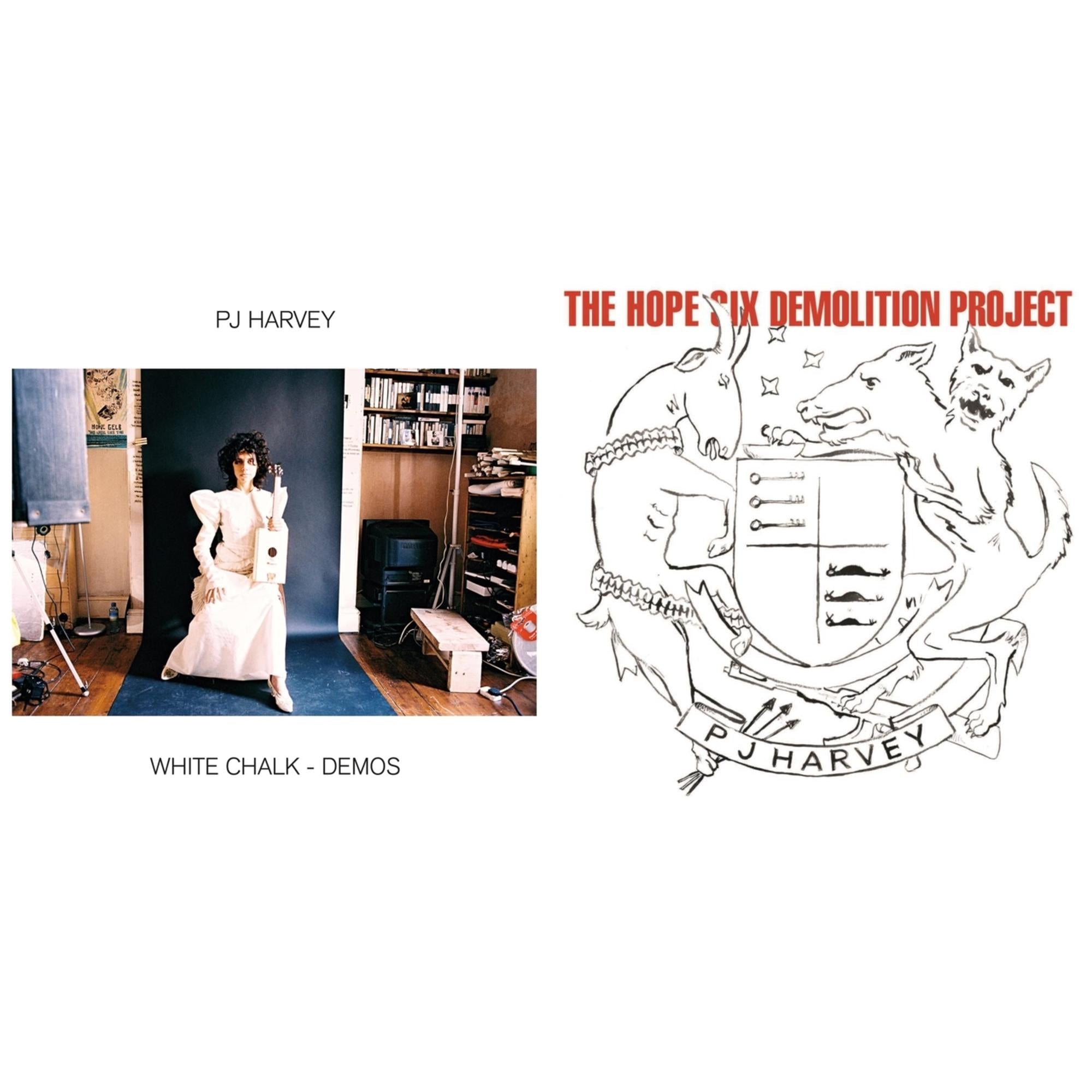 White Chalk (Demos) & Hope Six Demolition Project