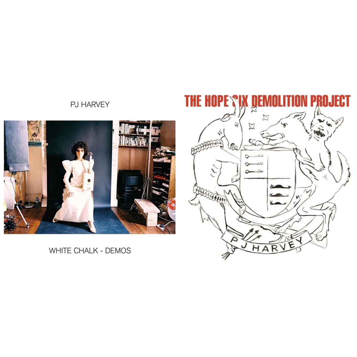 White Chalk (Demos) & Hope Six Demolition Project