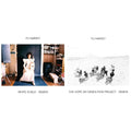 Pj Harvey - White Chalk (Demos) & Hope Six Demolition Project - Demos - LP Vinyl Bundle