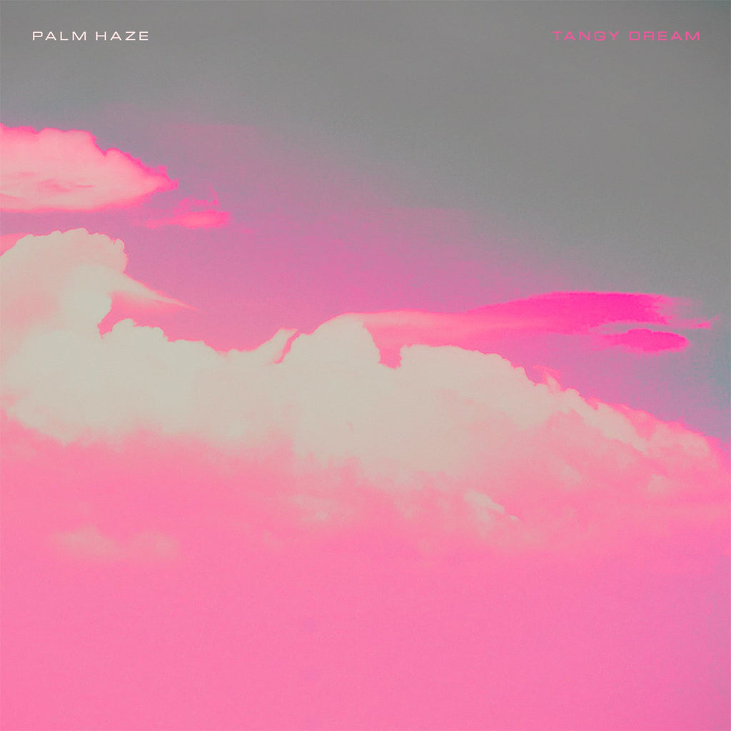 Palm Haze - Tangy Dream Cassette Tape