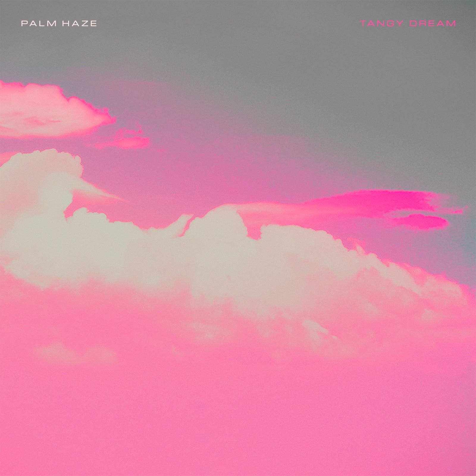 Palm Haze - Tangy Dream Cassette Tape