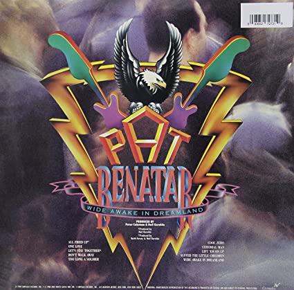 Wide Awake in Dreamland Vinyl Record