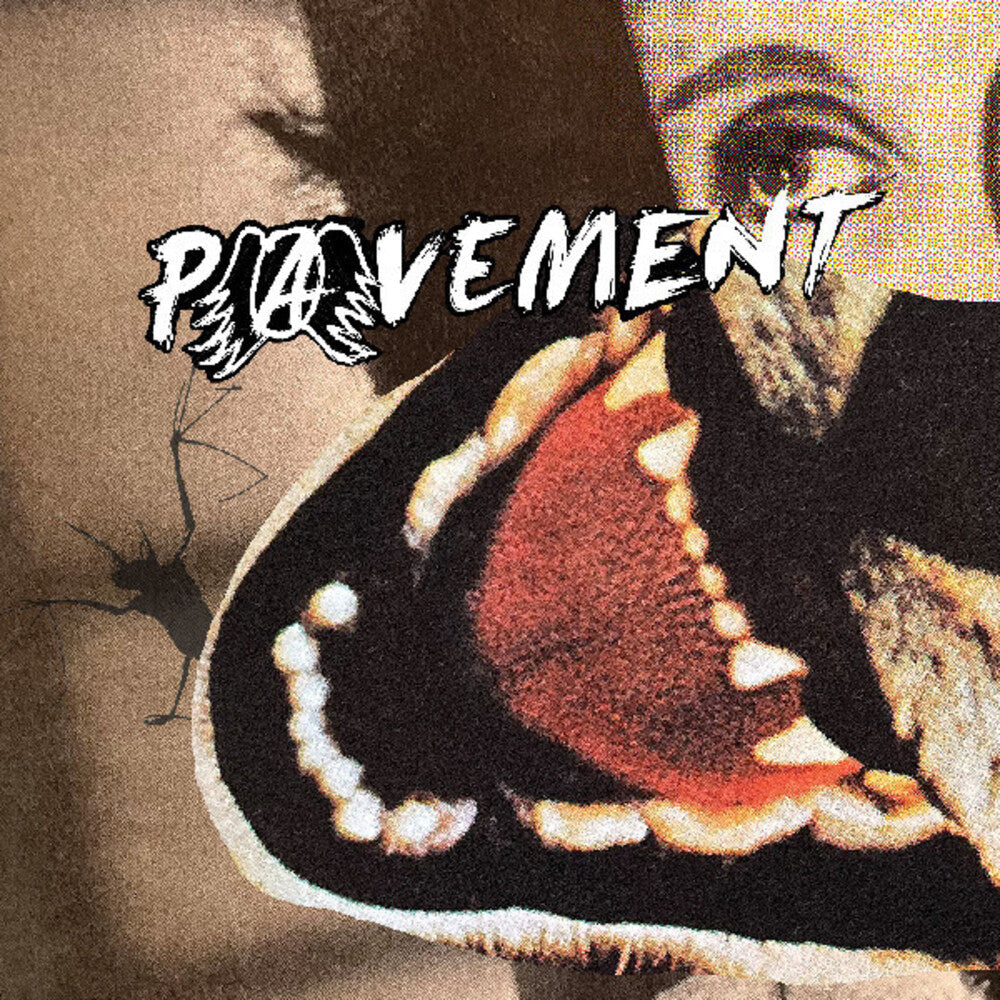 Pavement – Hecklers Choice: Big Gums And Heavy Lifters Music CD