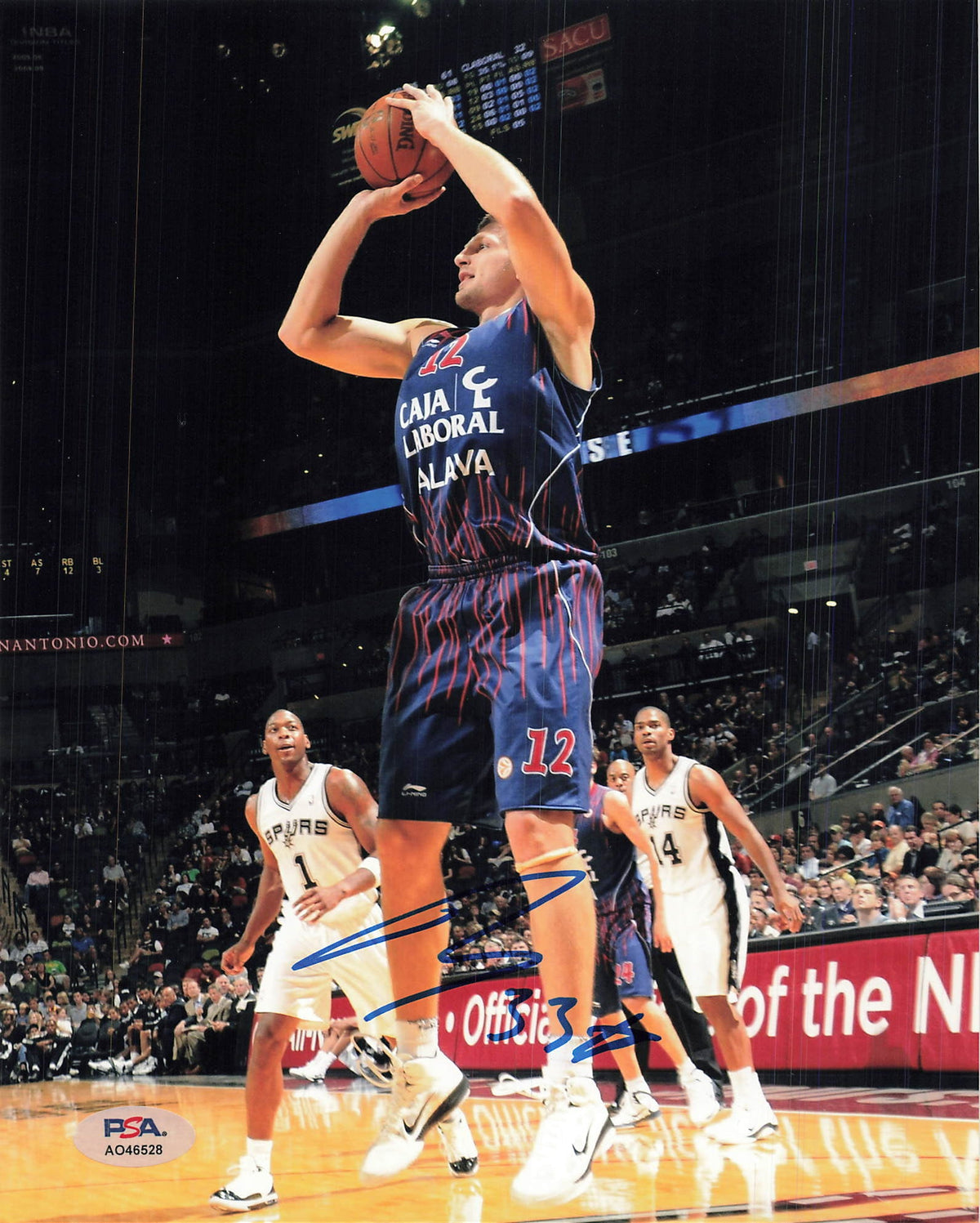 Mirza Teletovic signed 8x10 photo PSA/DNA Autographed NBA