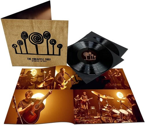 Nothing But The Truth (2 Lp's) Vinyl Record