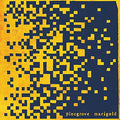 Pinegrove Marigold Vinyl Record