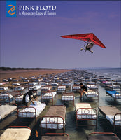 A MOMENTARY LAPSE OF REASON (REMIXED & UPDATED 2019) Music CD