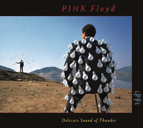 Pink Floyd – Delicate Sound Of Thunder (2-CD)