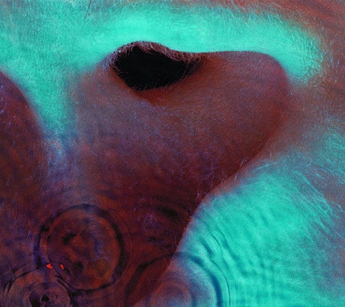 Pink Floyd – Meddle Music CD