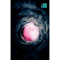 Pink Moon, a Story about Nick Drake - Paperback Book