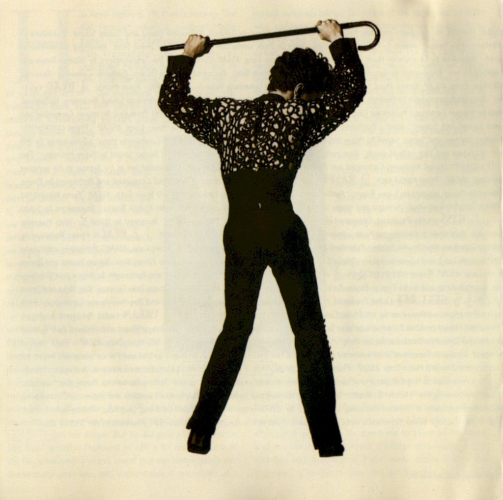 Prince – The Hits 2 Music CD