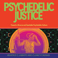 Psychedelic Justice: Toward a Diverse and Equitable Psychedelic Culture - Paperback Book