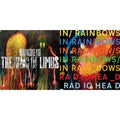 In Rainbows (180G) & King Of Limbs (180G)