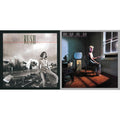 Permanent Waves (180G) & Power Windows (180G)