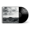 New Adventures In Hi-Fi (25th Anniversary Edition) (2 LP) Vinyl Record