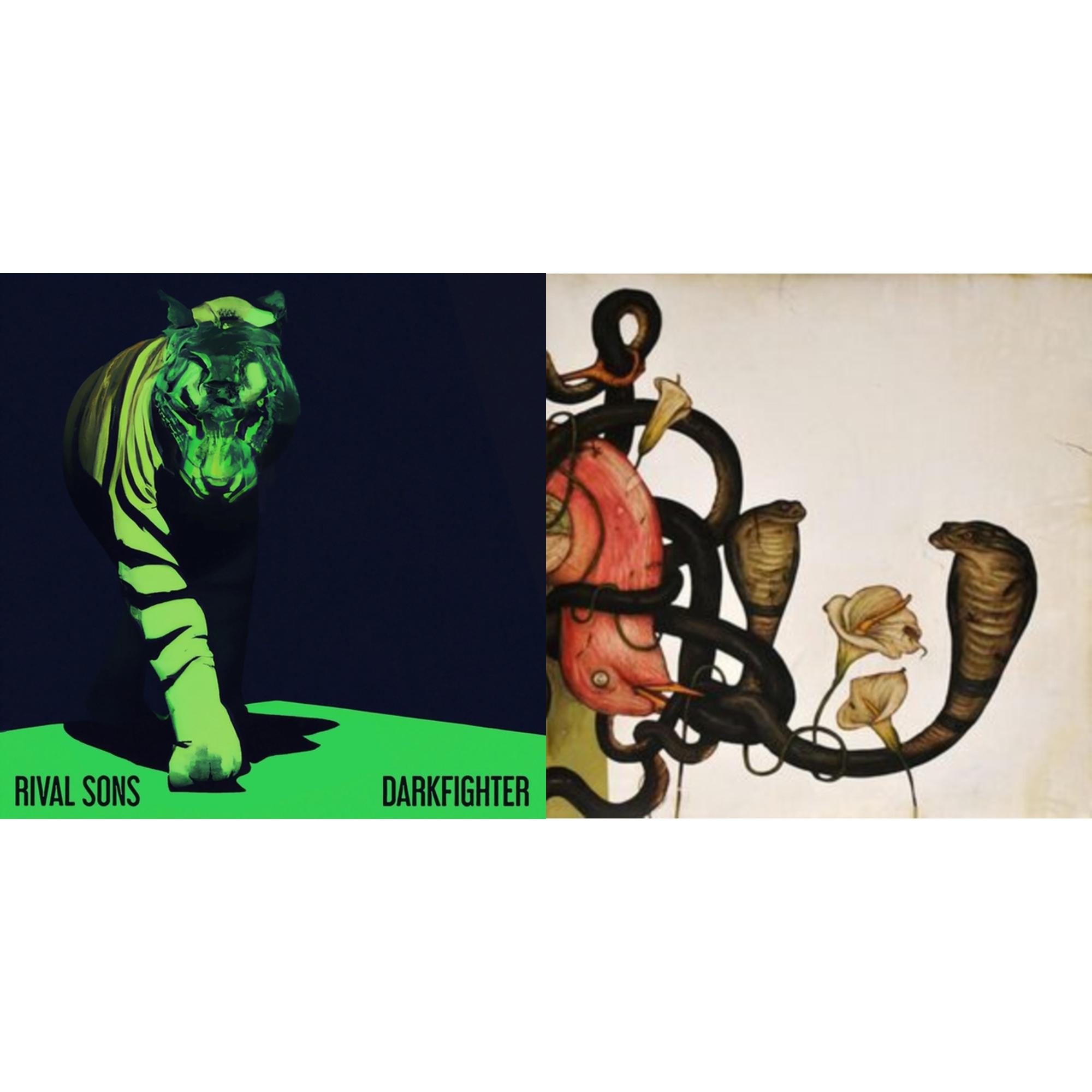 Darkfighter (Transparent LP Vinyl) & Head Down (2LP)