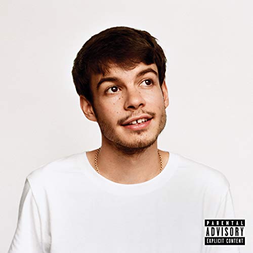 Rex Orange County - Pony Vinyl Record
